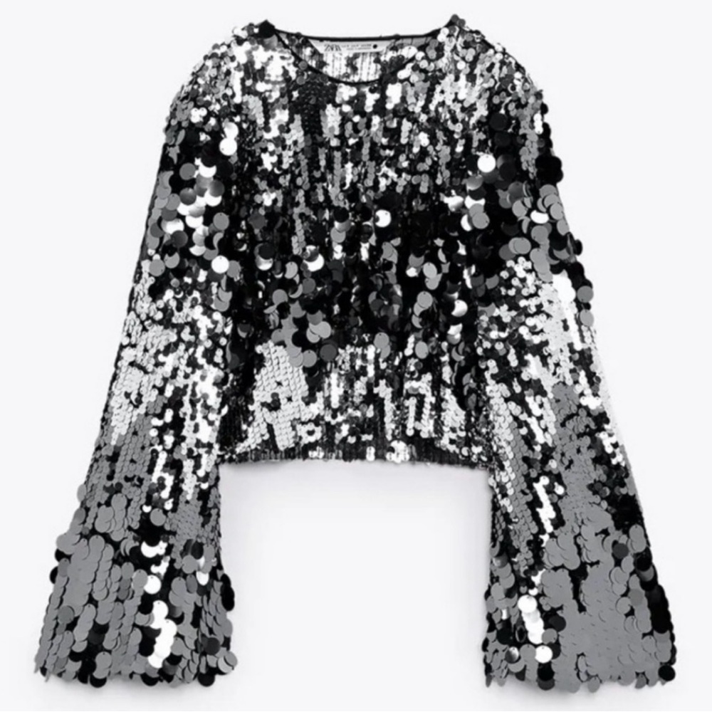 Zara  Sequin Metallic Crop Top